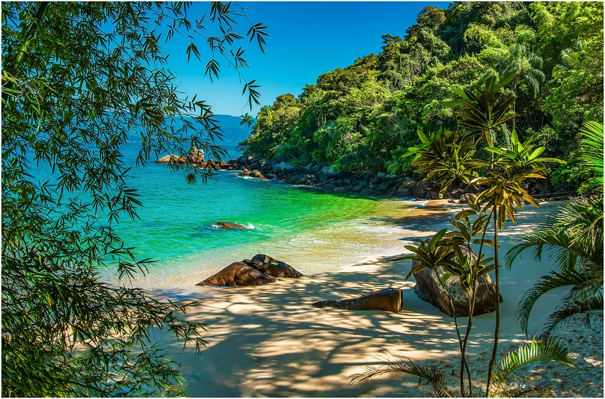 Baía com água cristalina e areia branca na Ilha das Couves em Ubatuba, cercada por vegetação tropical