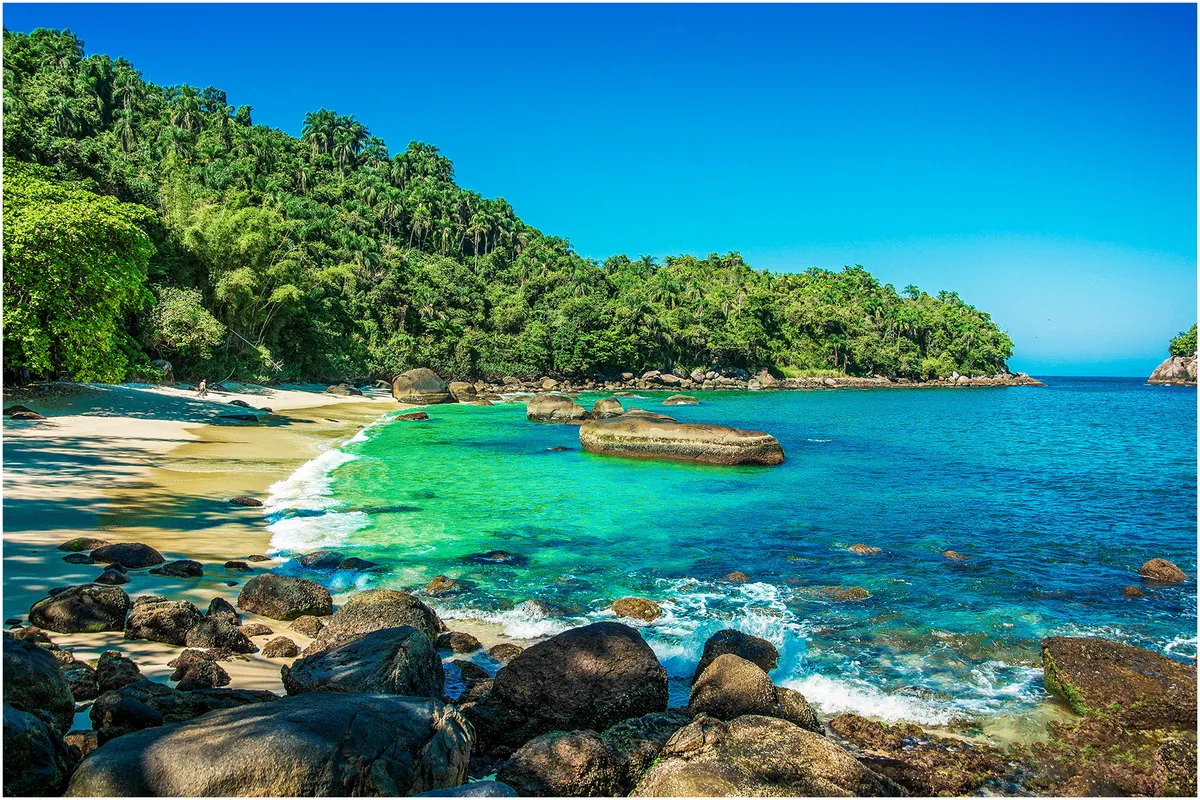 Costão rochoso da Ilha das Couves em Ubatuba com água verde cristalina e Mata Atlântica