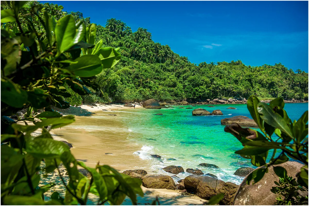 Praia da Ilha das Couves em Ubatuba emoldurada pela vegetação da Mata Atlântica com água verde-esmeralda