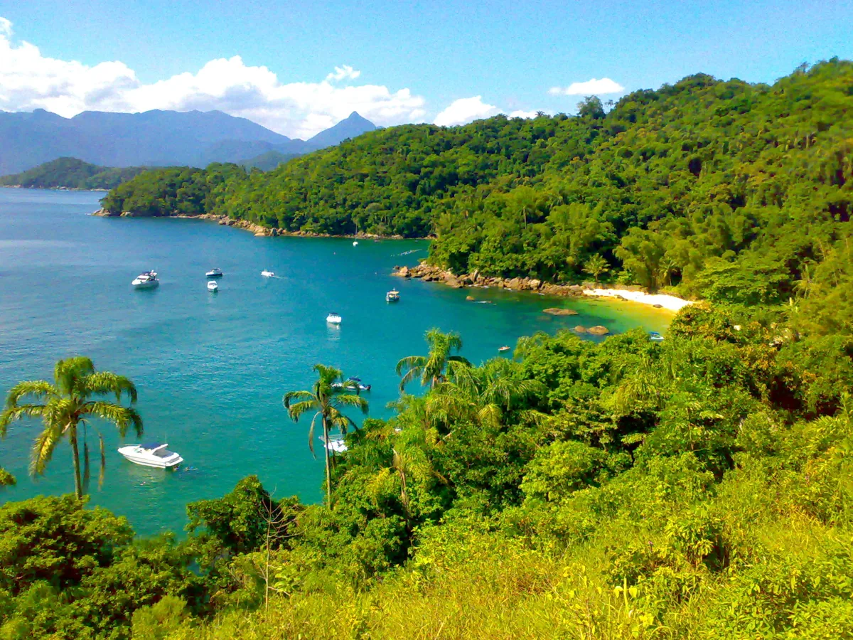 Lanchas fundeadas na enseada da Ilha das Couves em Ubatuba, com Mata Atlântica e a Serra do Mar ao fundo