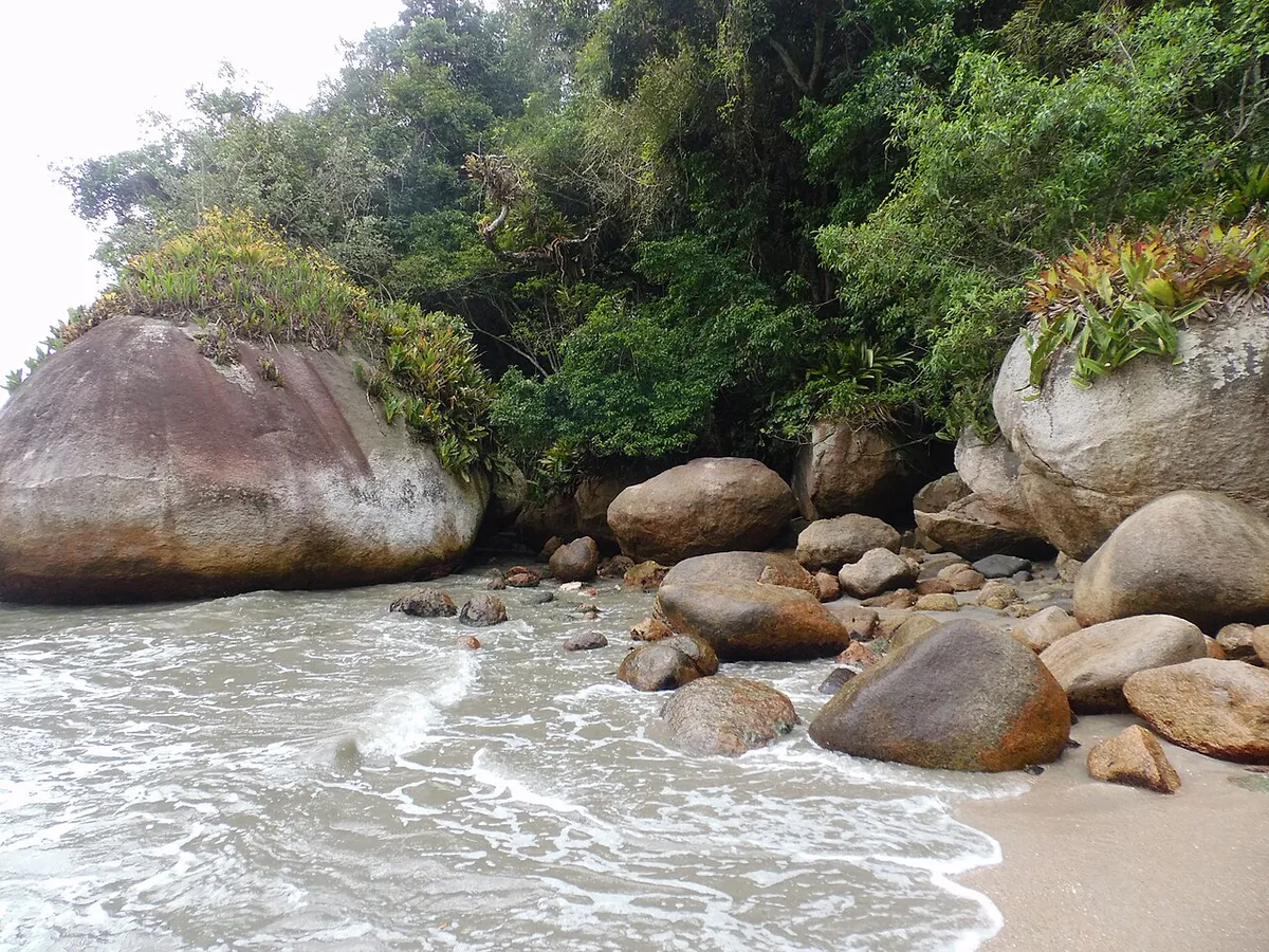 Praia Brava da Almada em Ubatuba com pedras e Mata Atlântica fechada