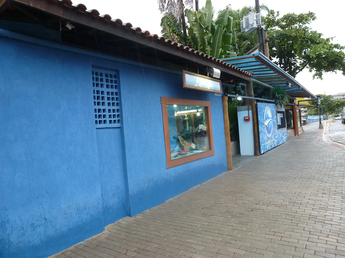 Calçada de pedra na entrada do Aquário de Ubatuba, no começo da Rua Guarani, região de restaurantes em Ubatuba